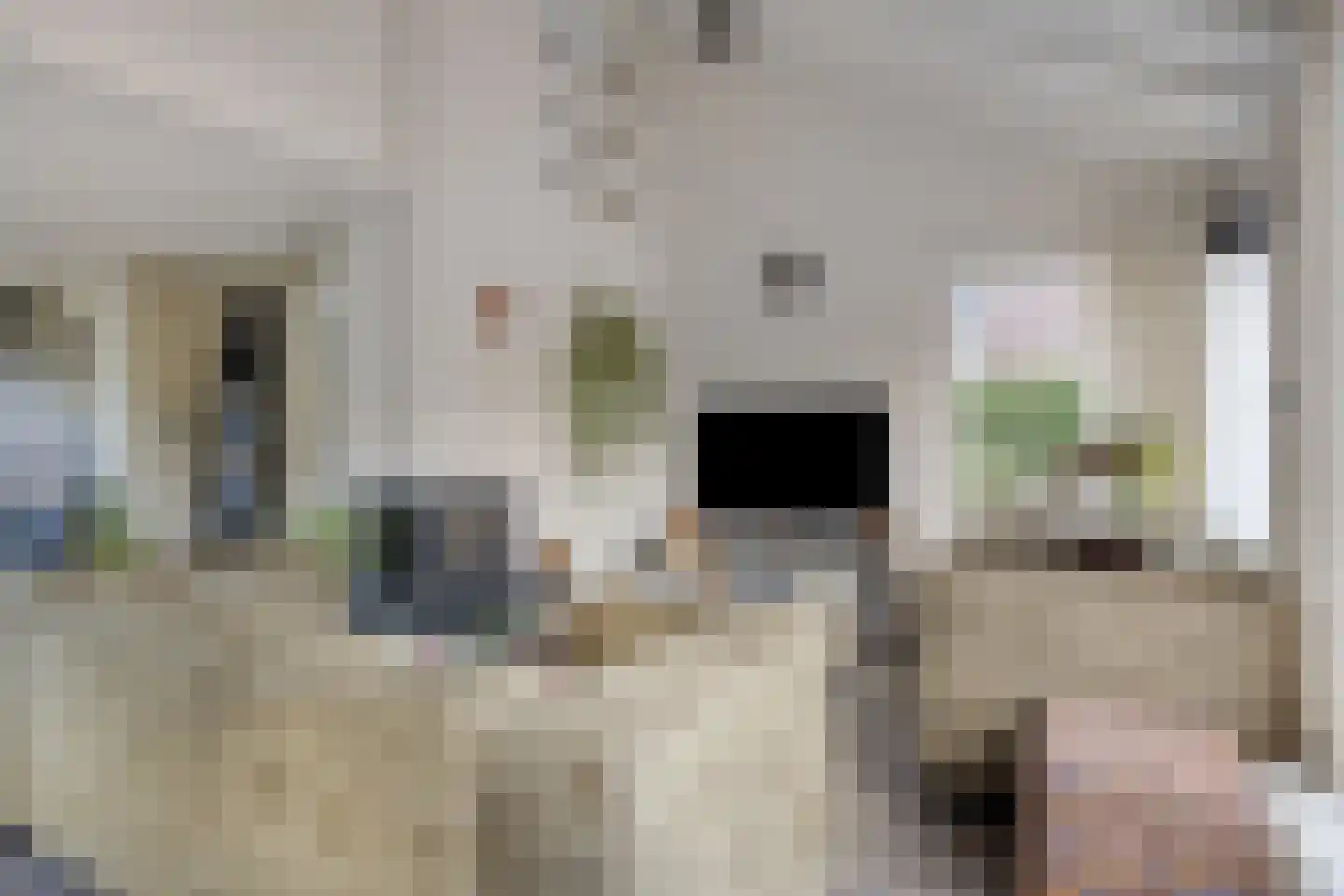 D. Koddelaan 41 Zoutelande thumbnail 13