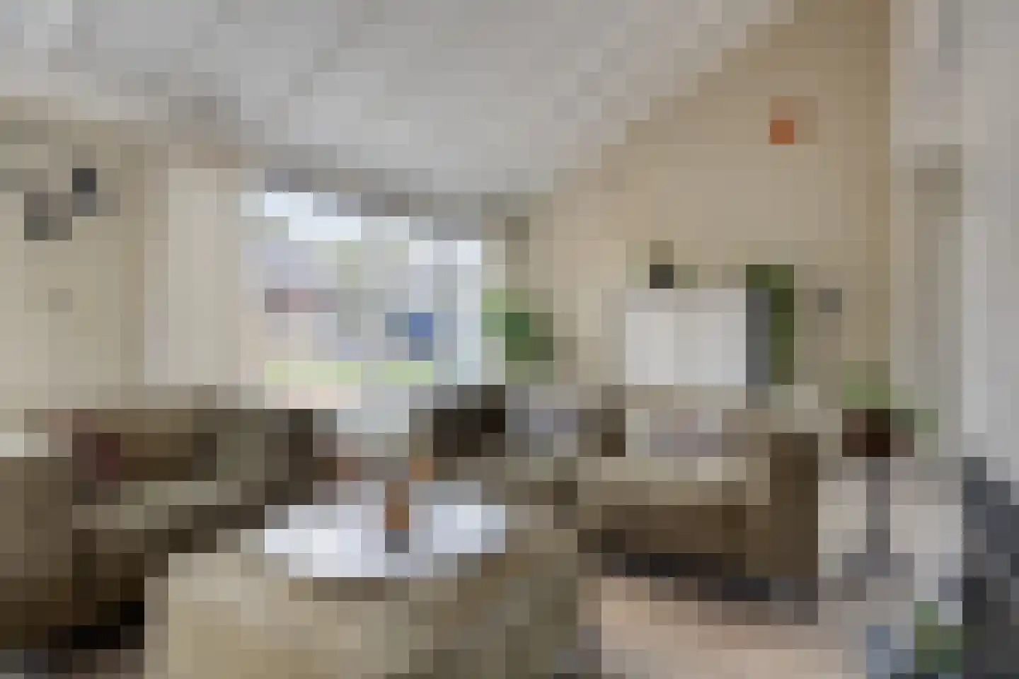 D. Koddelaan 41 Zoutelande thumbnail 16