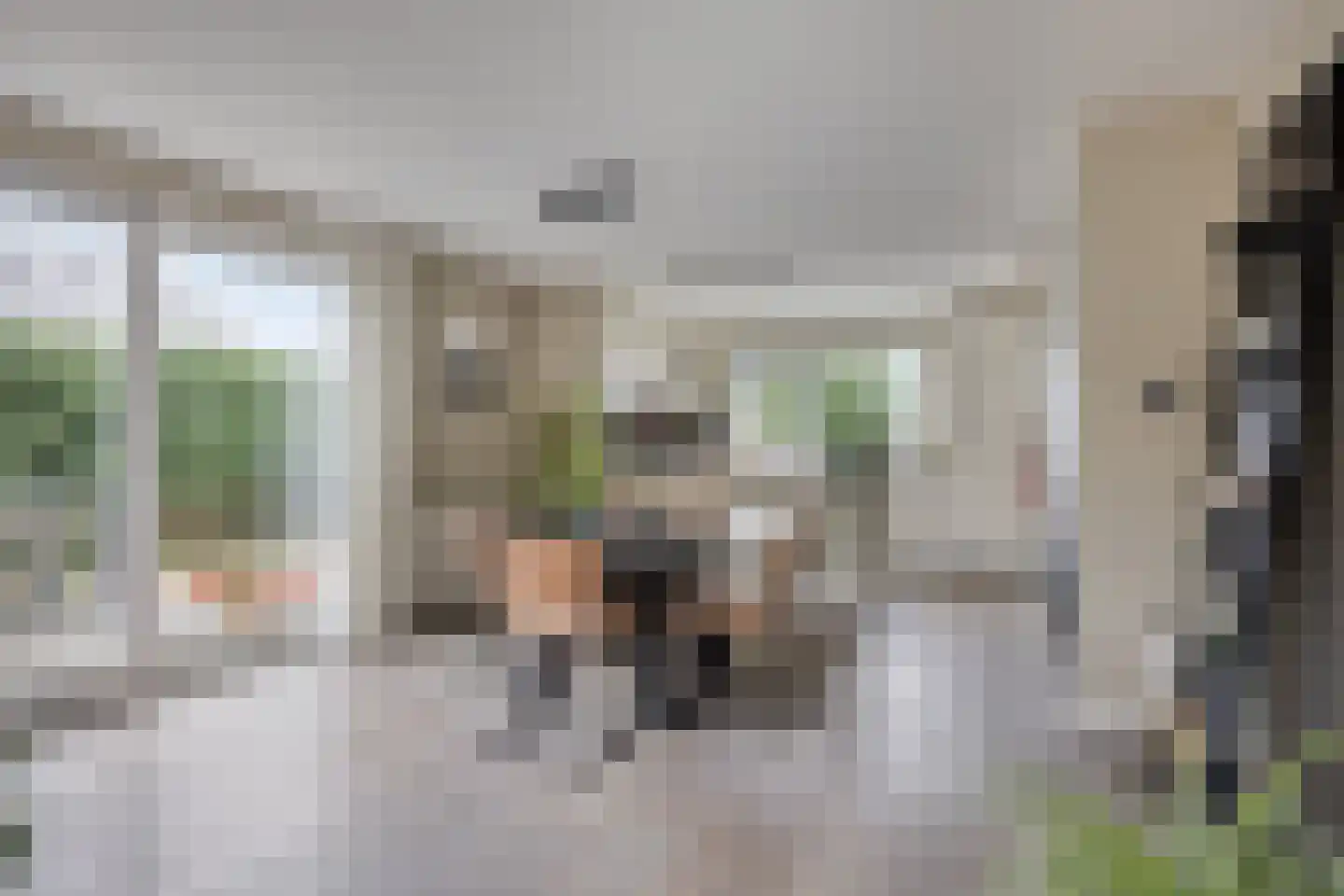D. Koddelaan 41 Zoutelande thumbnail 19