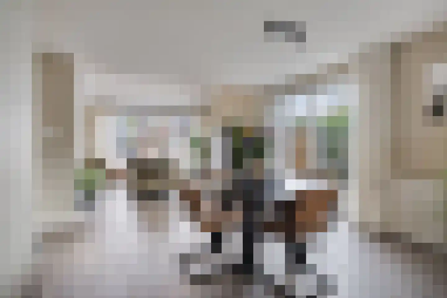 D. Koddelaan 41 Zoutelande thumbnail 20