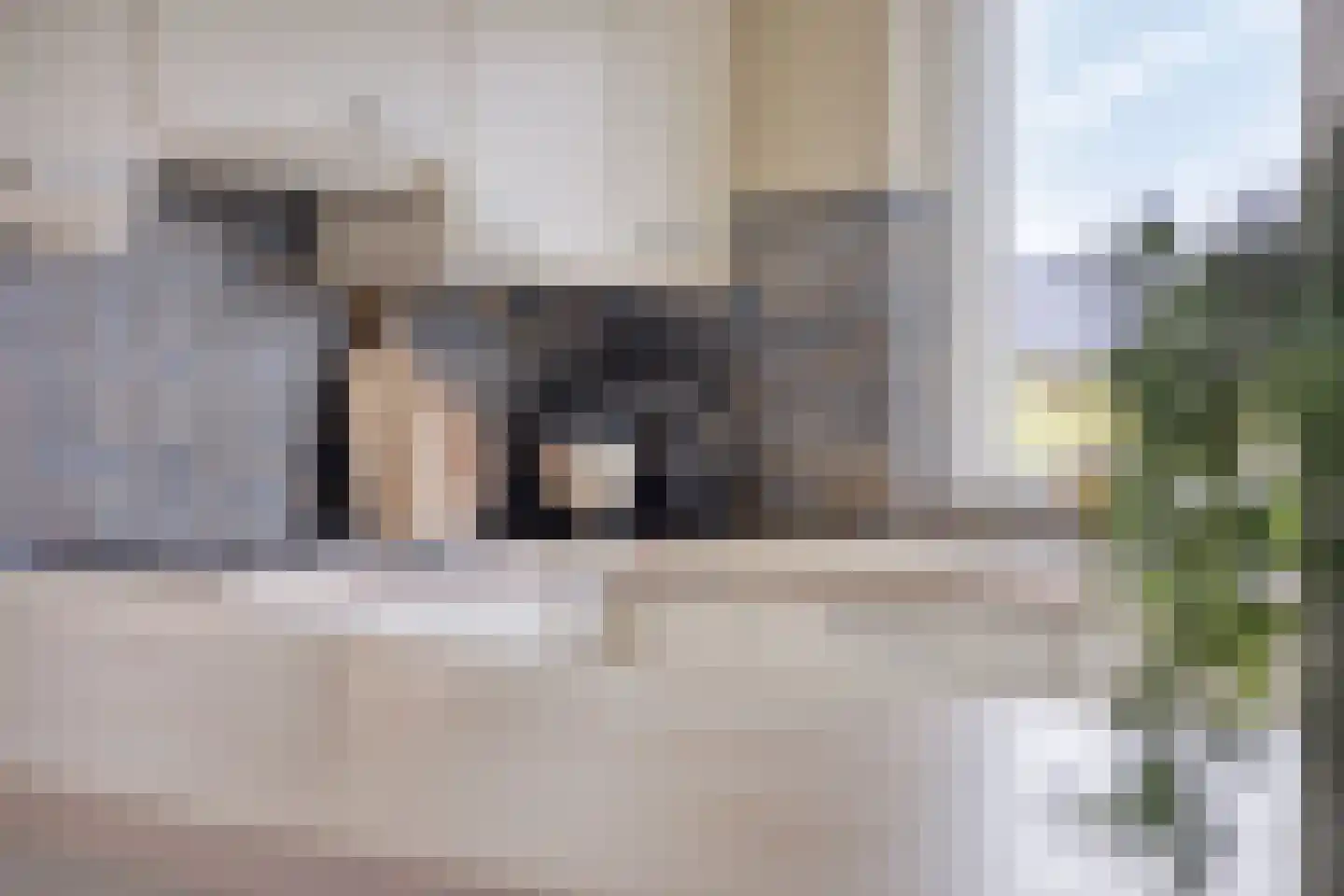 D. Koddelaan 41 Zoutelande thumbnail 23