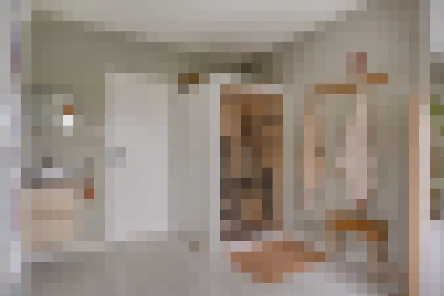 D. Koddelaan 41 Zoutelande thumbnail 28