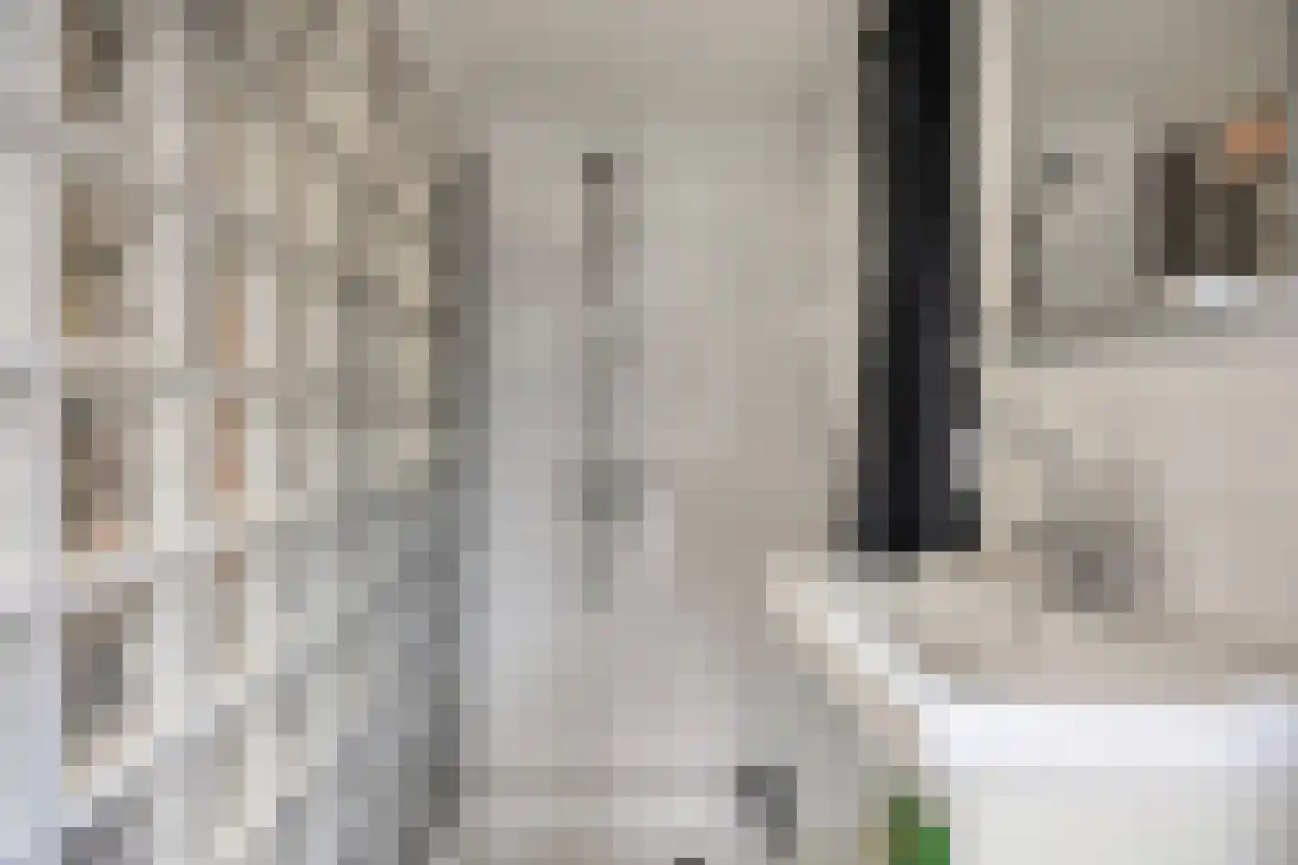 D. Koddelaan 41 Zoutelande thumbnail 30