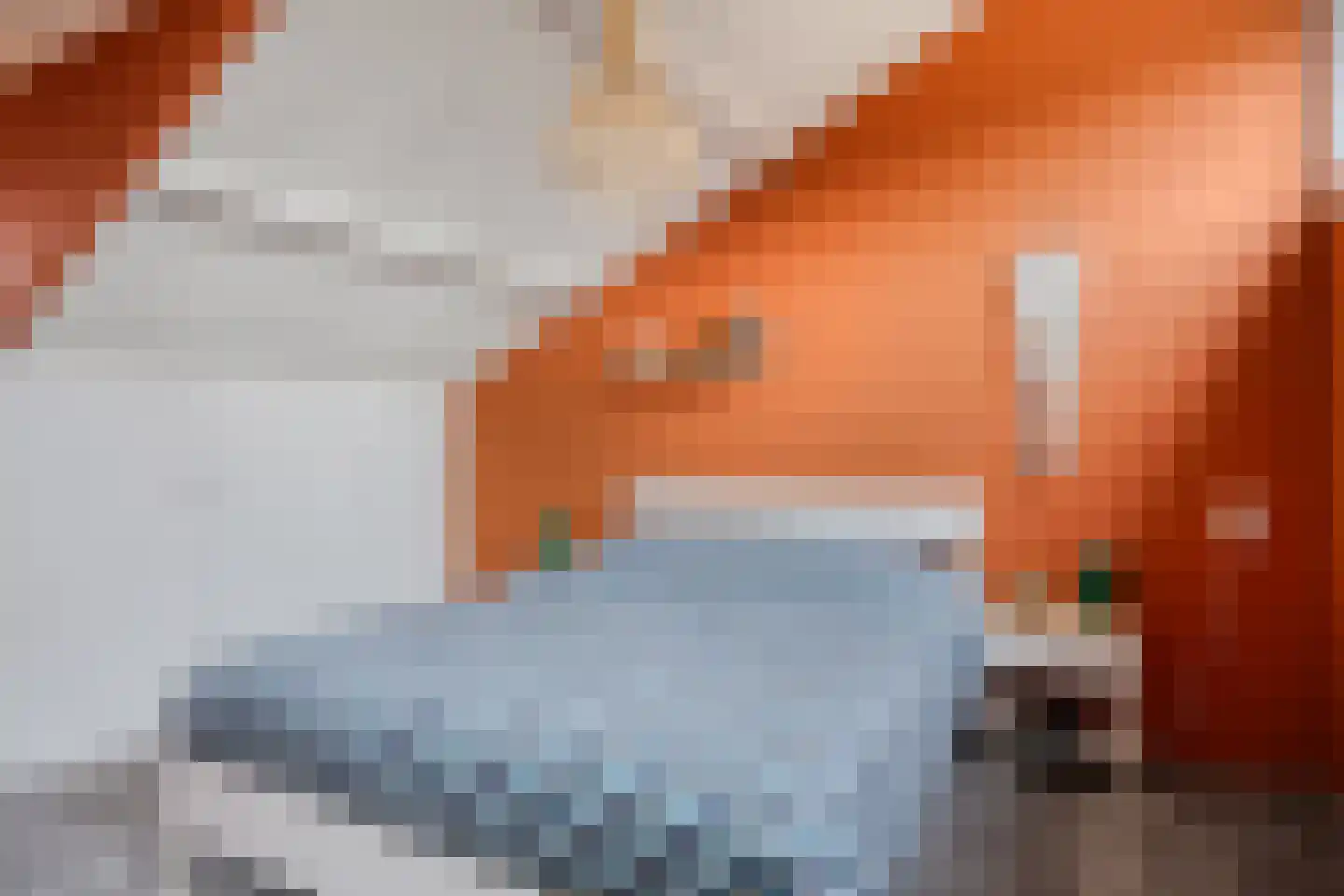 D. Koddelaan 41 Zoutelande thumbnail 34
