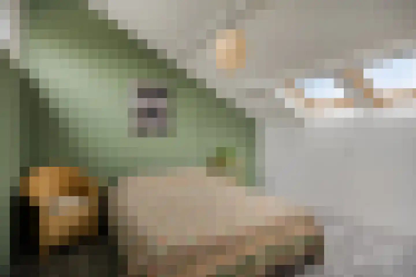 D. Koddelaan 41 Zoutelande thumbnail 36