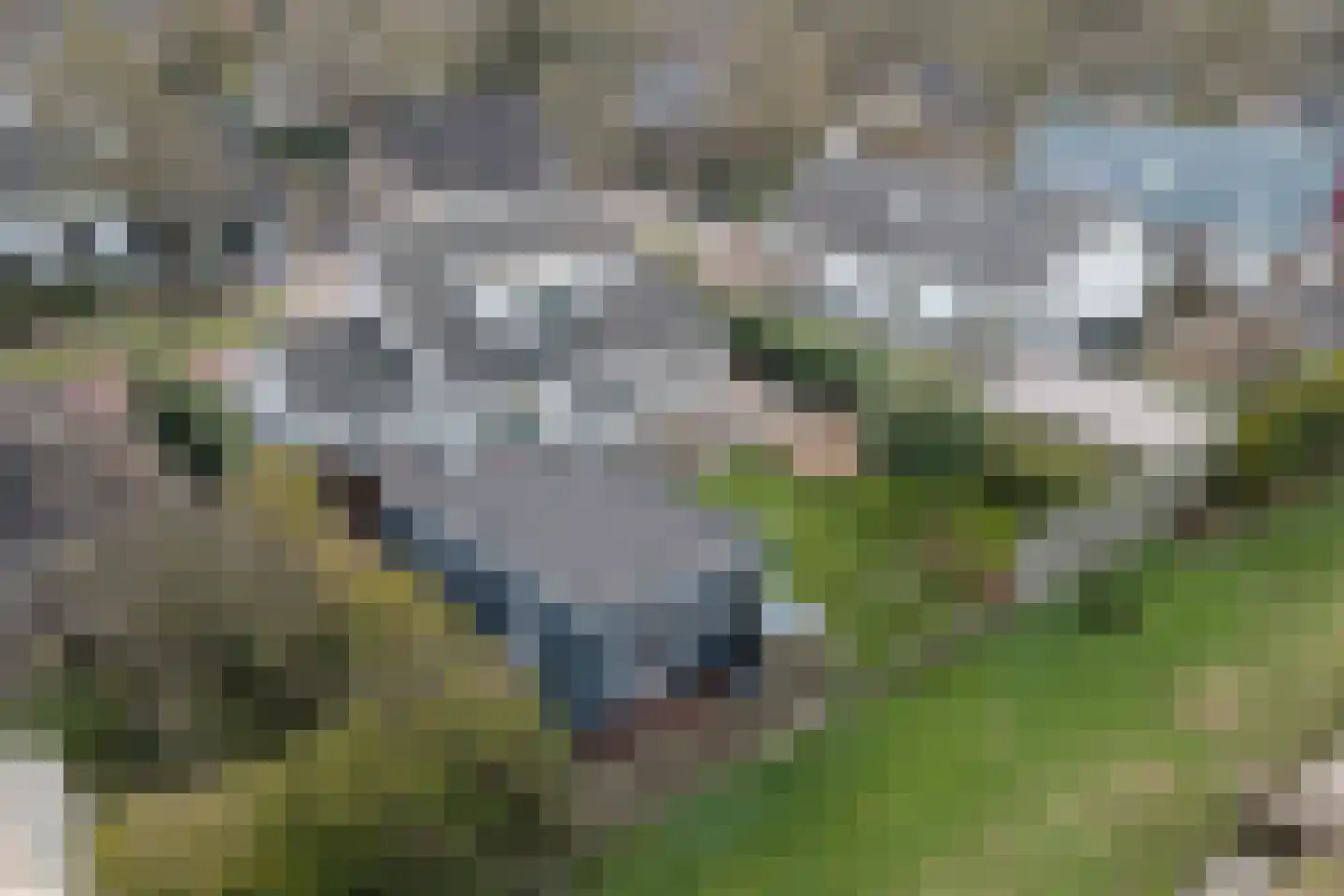 D. Koddelaan 41 Zoutelande thumbnail 4