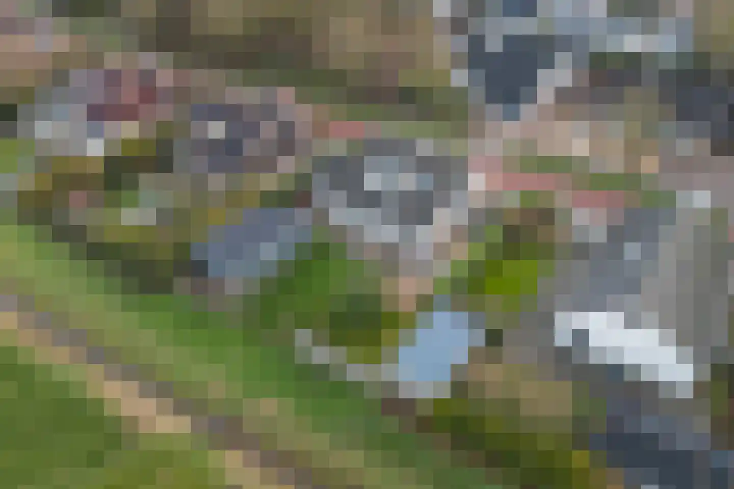 D. Koddelaan 41 Zoutelande thumbnail 43