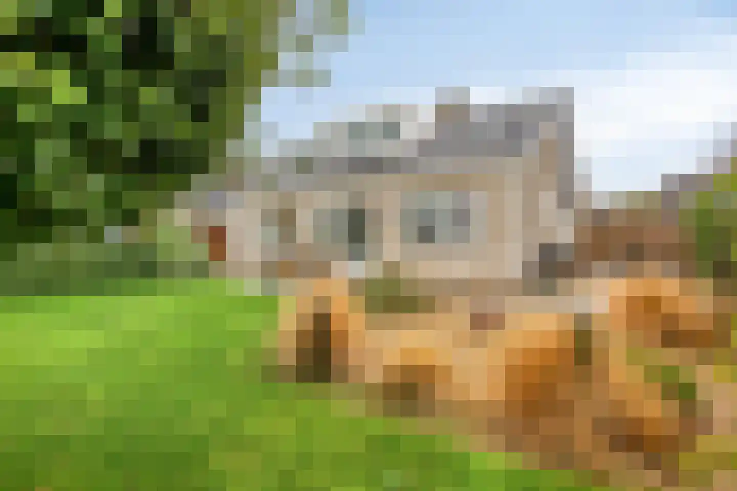 D. Koddelaan 41 Zoutelande thumbnail 44