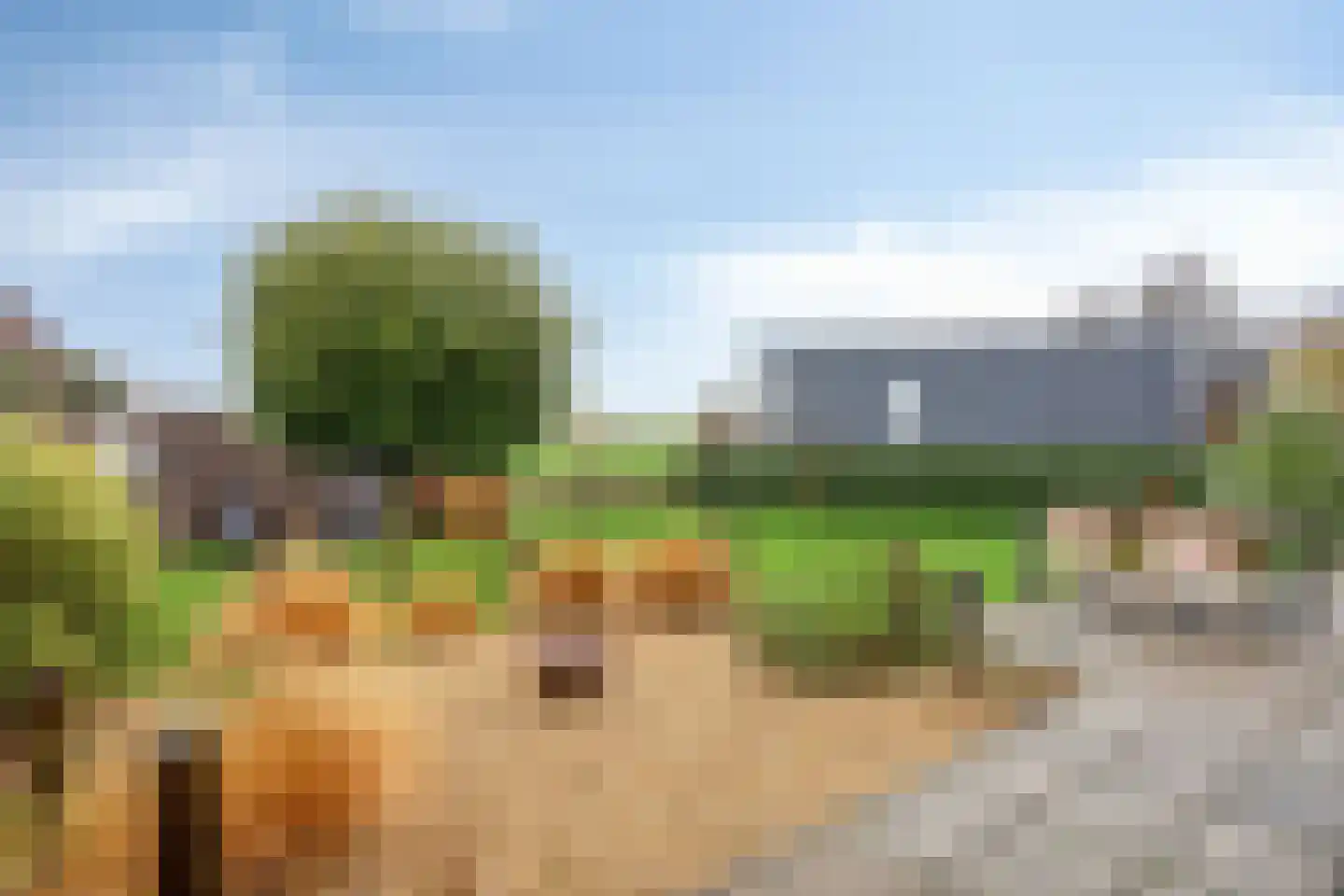 D. Koddelaan 41 Zoutelande thumbnail 45
