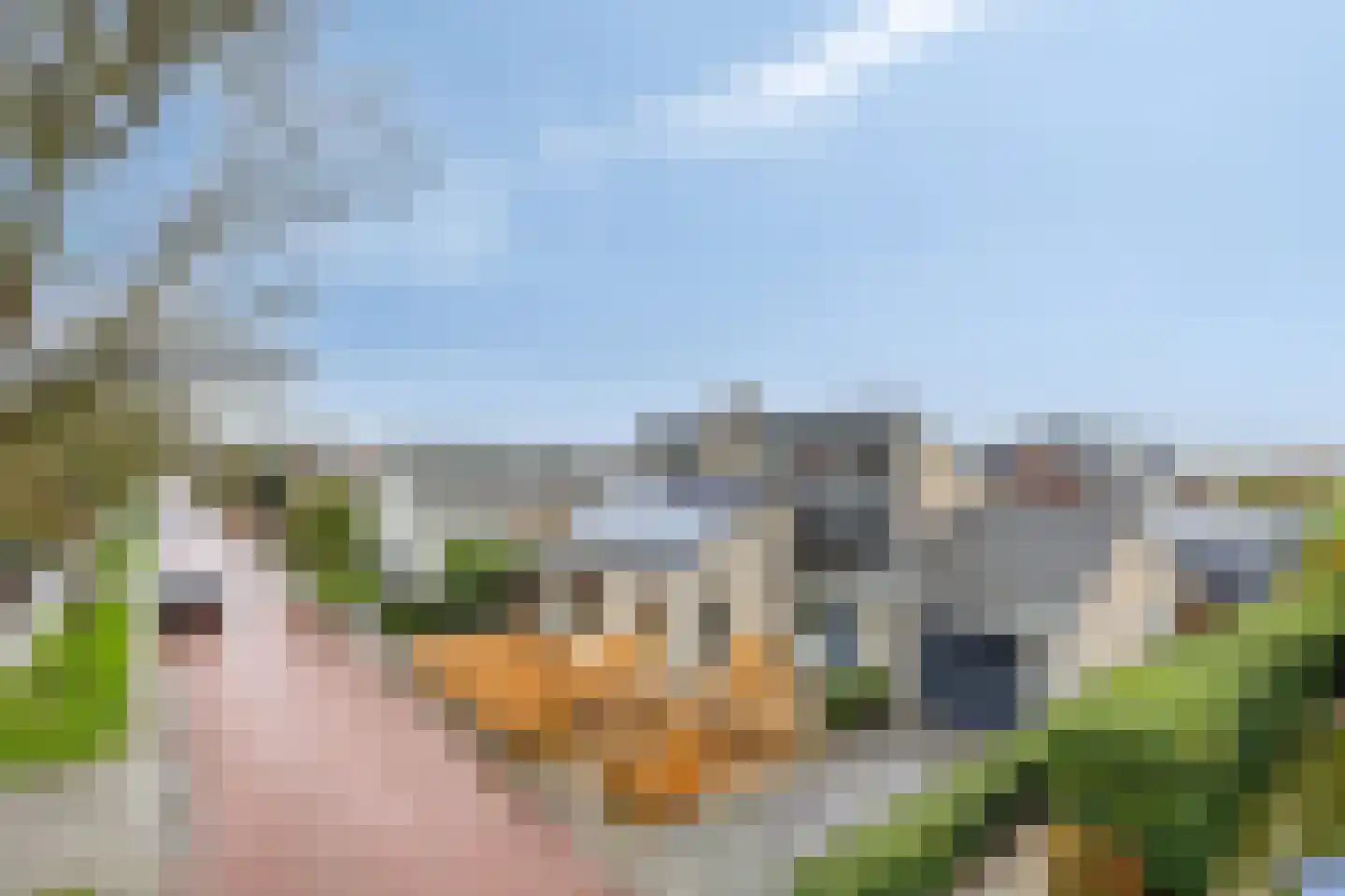 D. Koddelaan 41 Zoutelande thumbnail 5