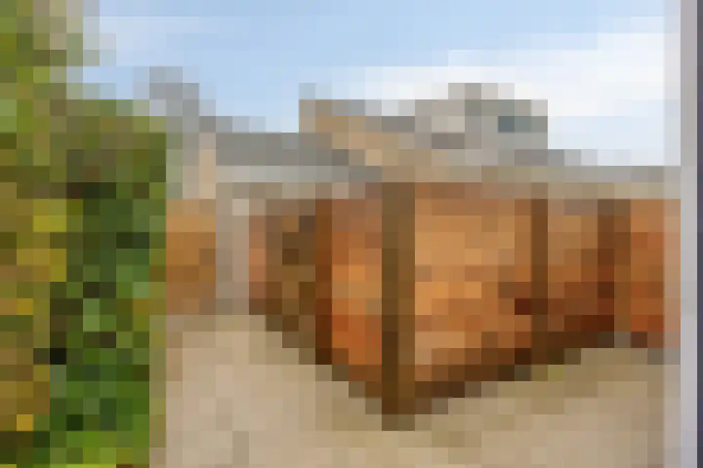 D. Koddelaan 41 Zoutelande thumbnail 56