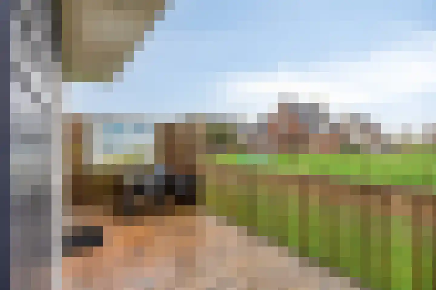 D. Koddelaan 41 Zoutelande thumbnail 58