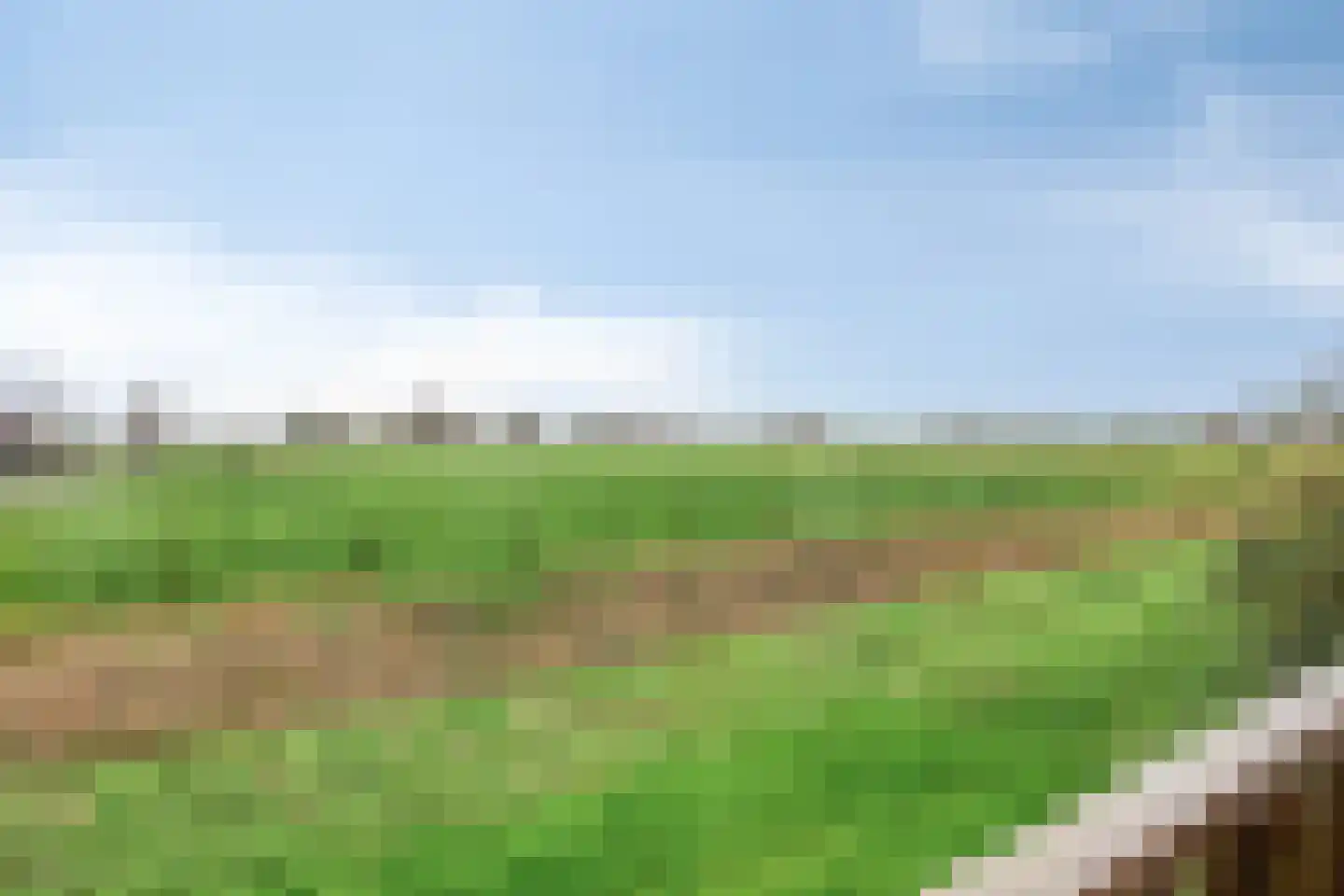 D. Koddelaan 41 Zoutelande thumbnail 60