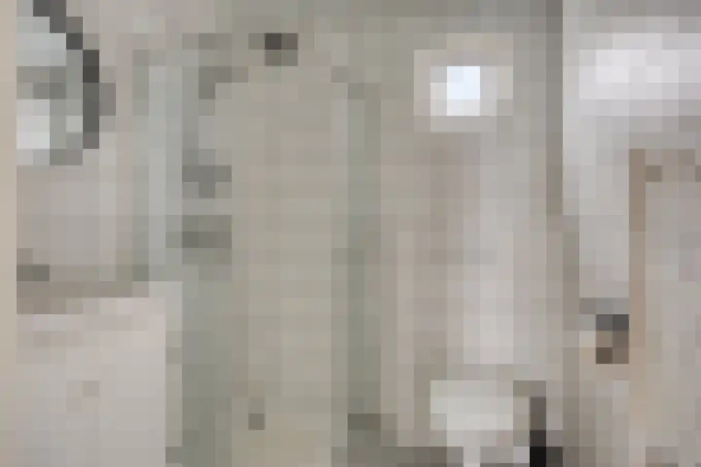 D. Koddelaan 41 Zoutelande thumbnail 69