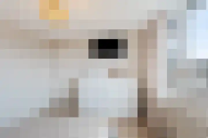 D. Lubbertstraat 16 Breezand thumbnail 17