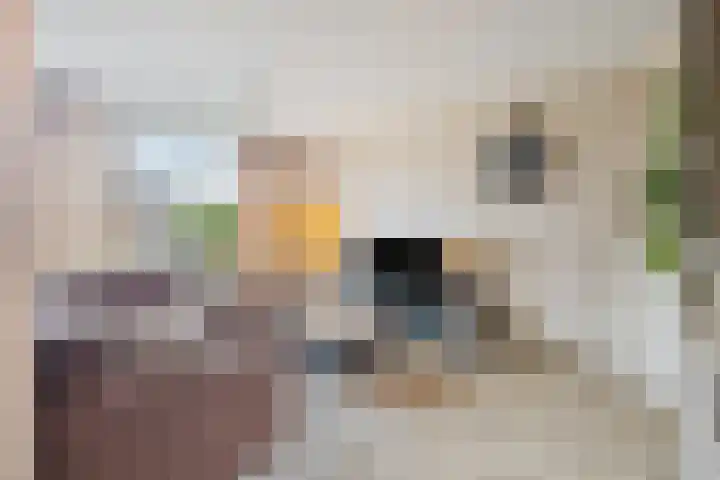 D. Lubbertstraat 16 Breezand thumbnail 7