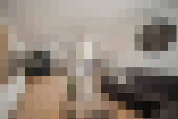 D. Lubbertstraat 20 Breezand thumbnail 10