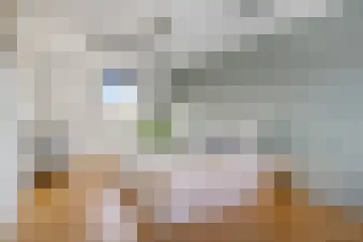 D. Marotstraat 83 Velserbroek thumbnail 30