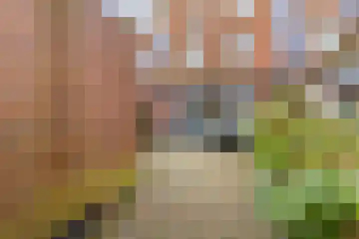 D. Marotstraat 83 Velserbroek thumbnail 38