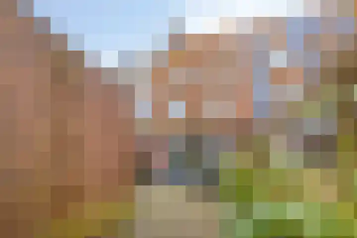 D. Marotstraat 83 Velserbroek thumbnail 39