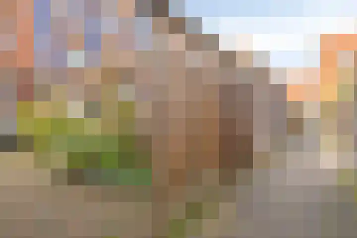 D. Marotstraat 83 Velserbroek thumbnail 41