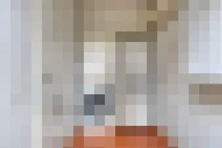 D. Miedemastrjitte 5 Minnertsga thumbnail 10