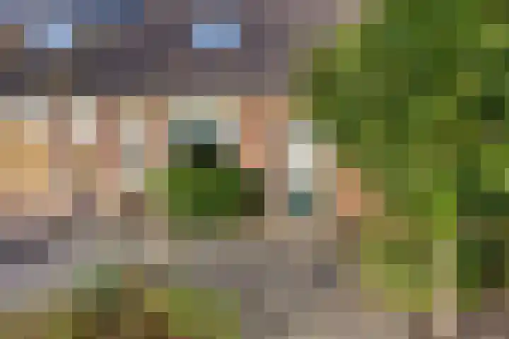 D. Miedemastrjitte 5 Minnertsga thumbnail 20