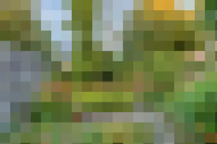 D. Miedemastrjitte 5 Minnertsga thumbnail 23