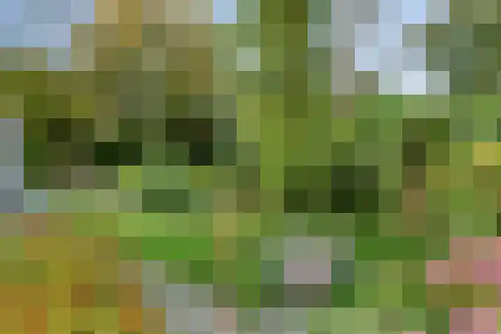 D. Miedemastrjitte 5 Minnertsga thumbnail 24