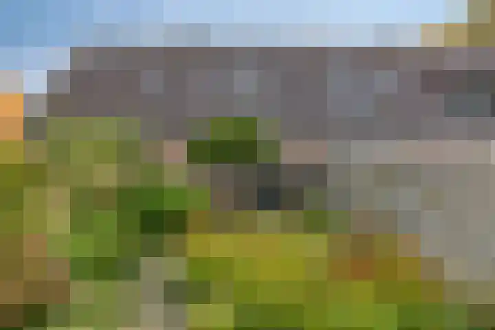 D. Miedemastrjitte 5 Minnertsga thumbnail 25