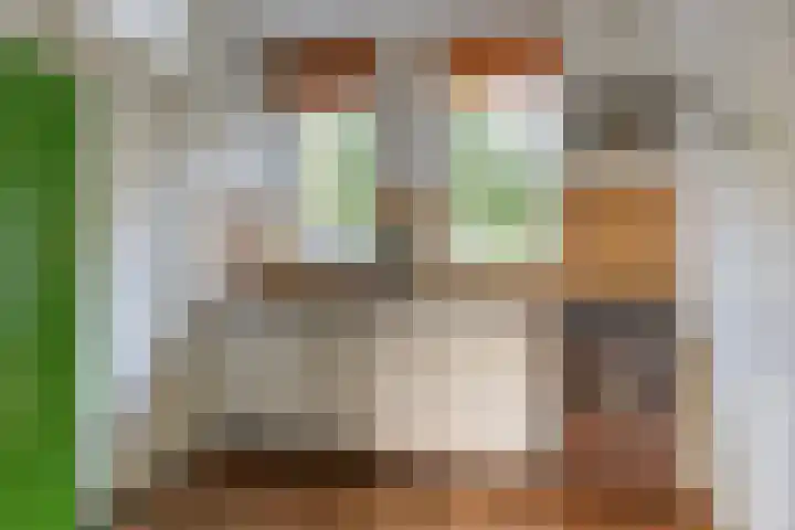 D. Miedemastrjitte 5 Minnertsga thumbnail 8