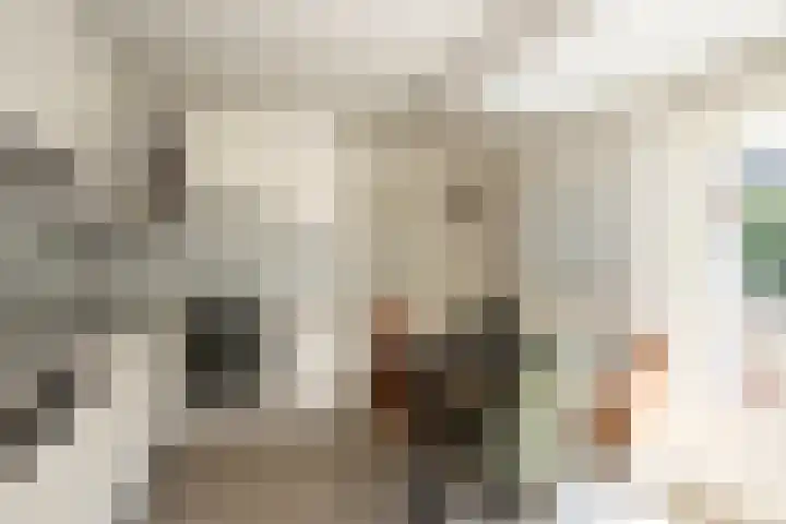 D'n Alleman 21 Knegsel thumbnail 10