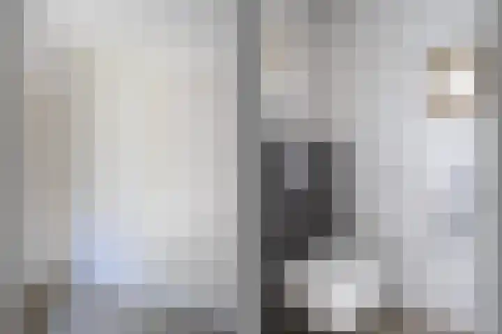 D'n Alleman 21 Knegsel thumbnail 12