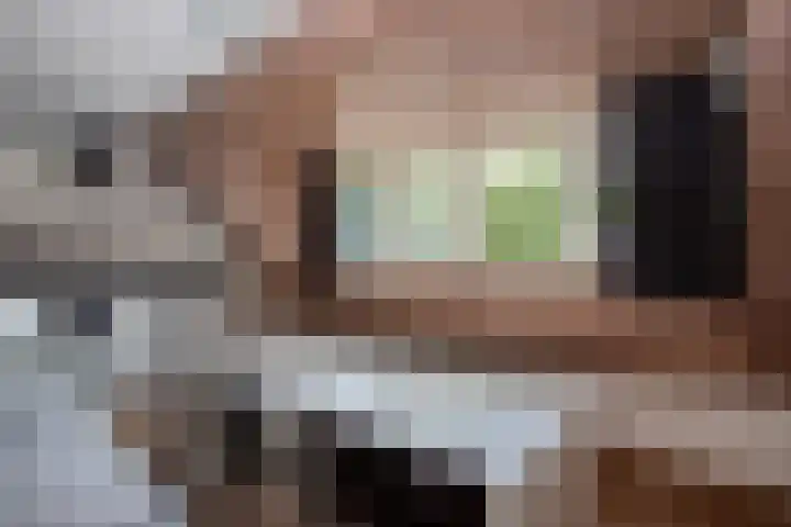 D'n Alleman 21 Knegsel thumbnail 16