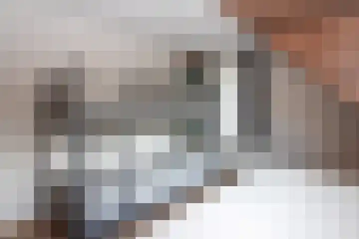 D'n Alleman 21 Knegsel thumbnail 18