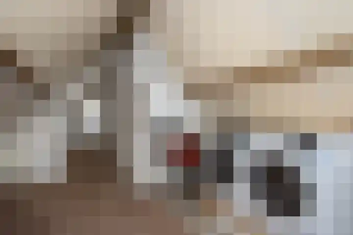 D'n Alleman 21 Knegsel thumbnail 21
