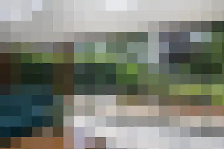 D'n Alleman 21 Knegsel thumbnail 26