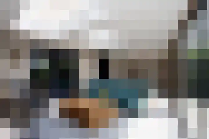 D'n Alleman 21 Knegsel thumbnail 27