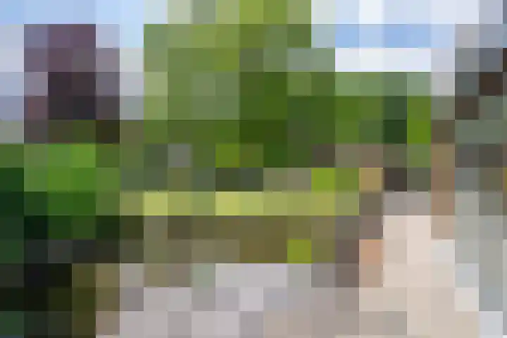 D'n Alleman 21 Knegsel thumbnail 28