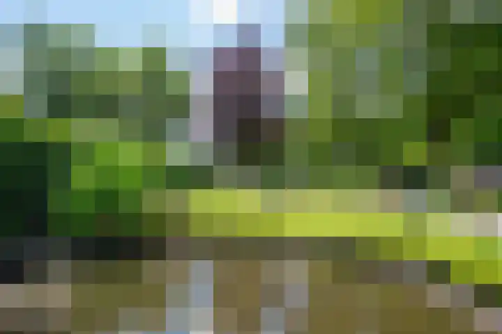 D'n Alleman 21 Knegsel thumbnail 29