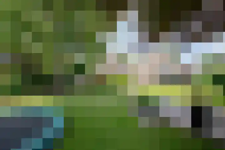 D'n Alleman 21 Knegsel thumbnail 31