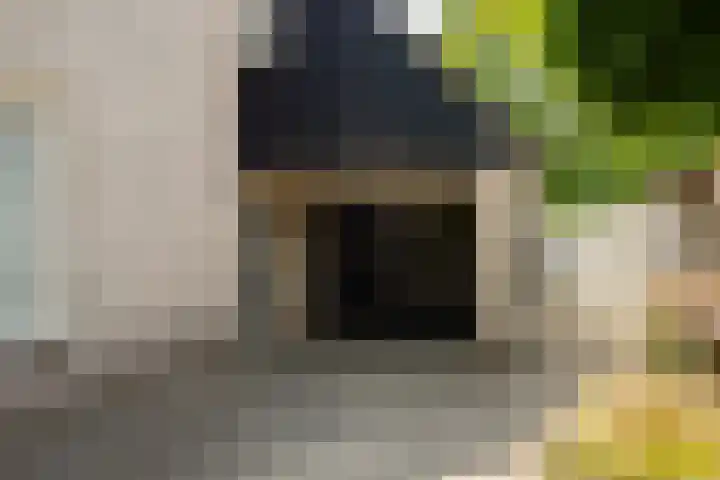 D'n Alleman 21 Knegsel thumbnail 32