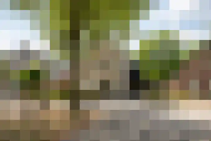D'n Alleman 21 Knegsel thumbnail 33