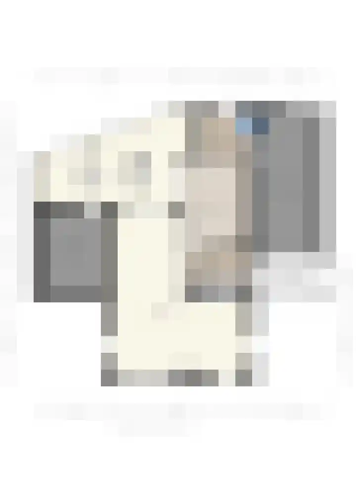 D'n Alleman 21 Knegsel thumbnail 35
