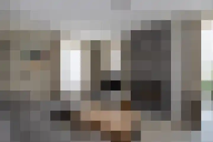 D'n Alleman 21 Knegsel thumbnail 4