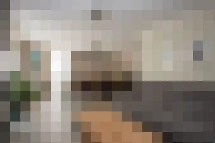 D'n Alleman 21 Knegsel thumbnail 5