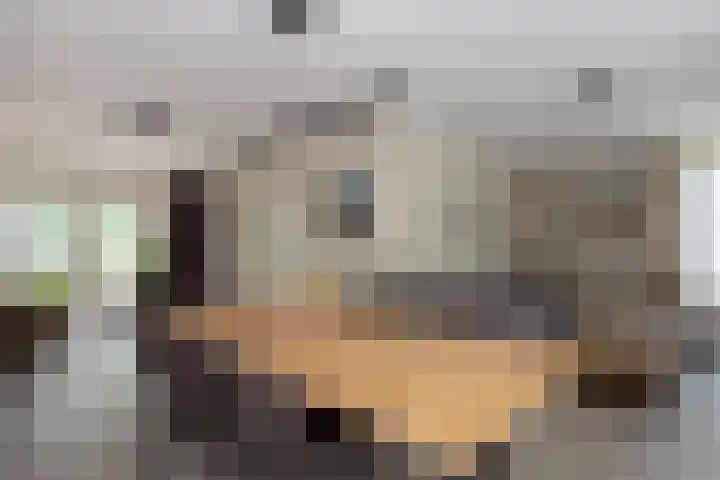 D'n Alleman 21 Knegsel thumbnail 6