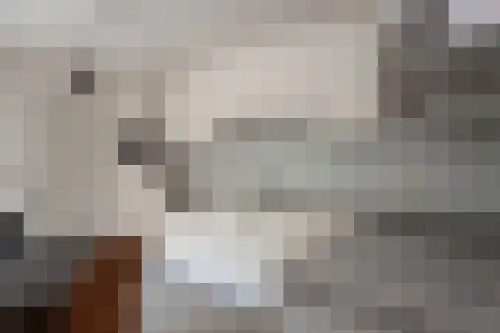 D'n Alleman 21 Knegsel thumbnail 9