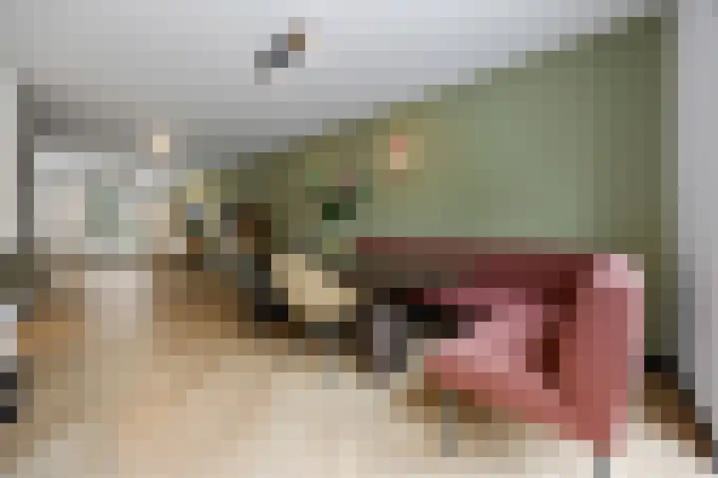 D'n Bens 39 Langenboom thumbnail 11