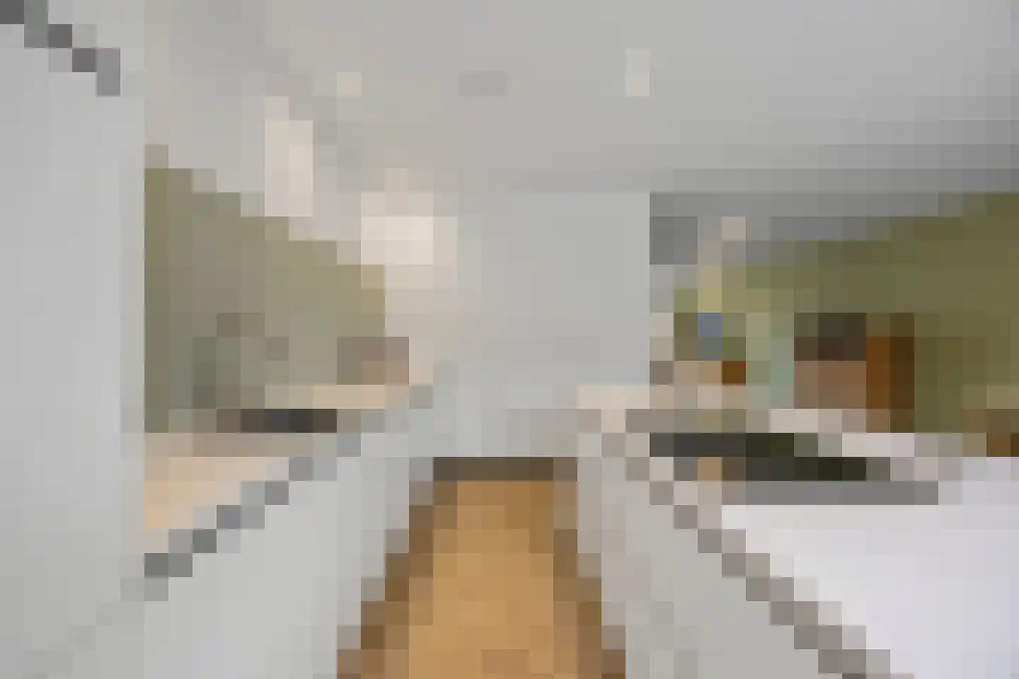D'n Bens 39 Langenboom thumbnail 12